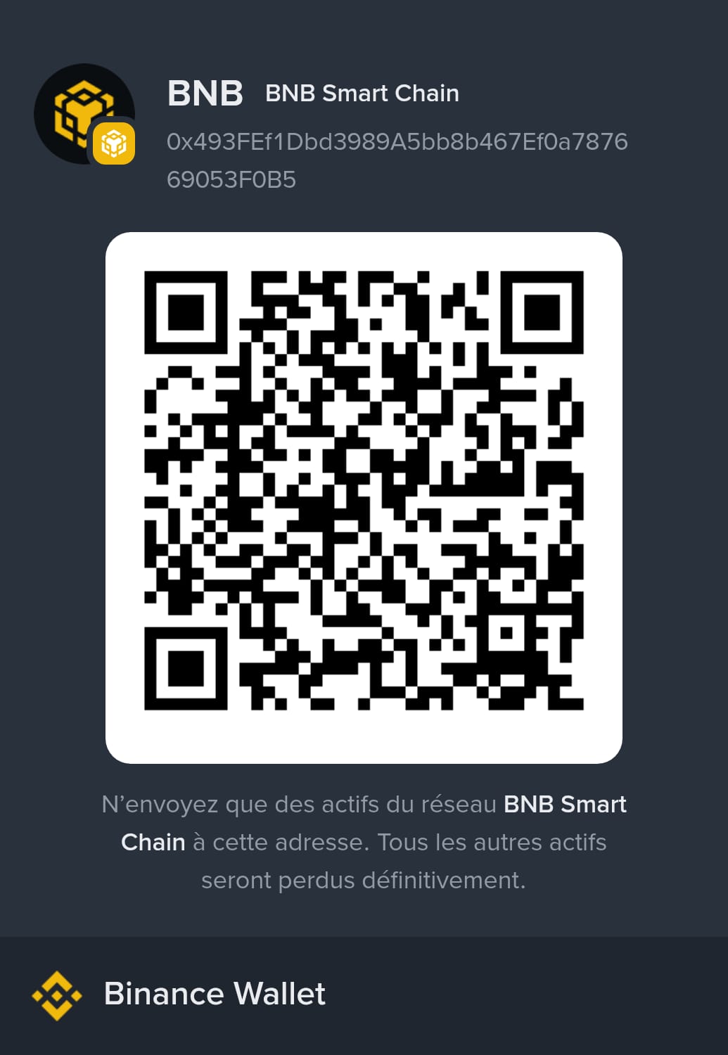 QR Code BNB David Colombo